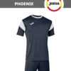 Комплект PHOENIX (футболка+шорты) 102741.102