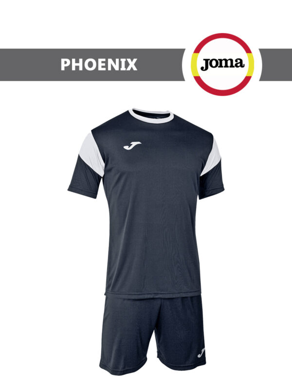 Комплект PHOENIX (футболка+шорты) 102741.102