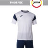 0037D4AE8A93373BE06550540090B39E Комплект PHOENIX (футболка+шорты) 102741.203