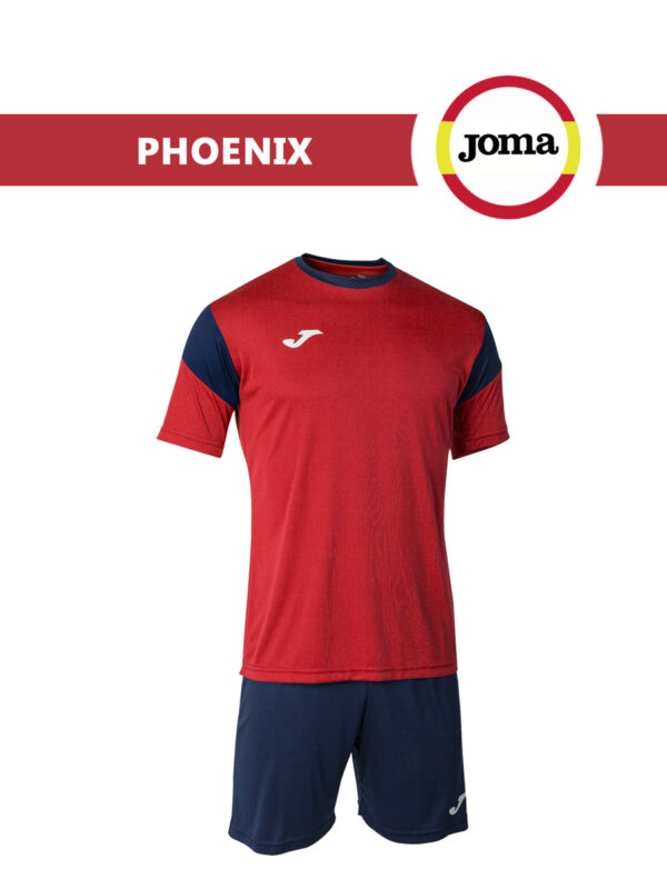 Комплект PHOENIX (футболка+шорты) 102741.603