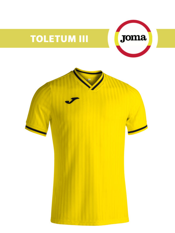 0177D0E024AB202BE06550540090B39E Футболка TOLETUM III 101870.900