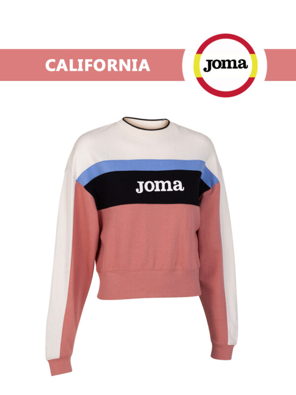 0265F3CE76926A50E06550540090B39E Толстовка CALIFORNIA 800101.570