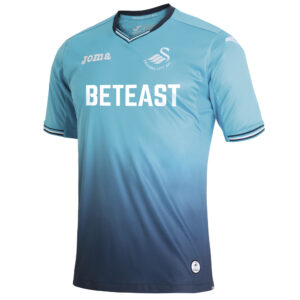 02F055E326B11D21E063E658A8C08AC0 Футболка SWANSEA SN.101021R16