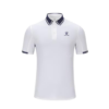 05623E34532D2DBAE06550540090B39E Поло CLASICO 8251PL1003.100