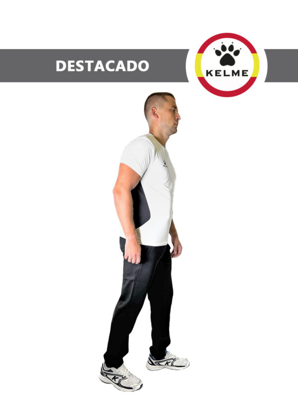 05DE2D639B657C60E06550540090B39E Брюки DESTACADO 3891374.000