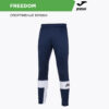 Брюки FREEDOM 101577.332