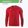 Толстовка CHAMPION IV 100801.601