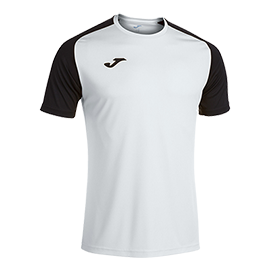 19943C5FA66719AEE06386DE4553A1B8 Футболка ACADEMY IV 101968.201