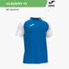 199559B8CEE029B0E06386DE45535ADD Футболка ACADEMY IV 101968.702