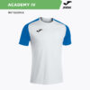 19956F4066B53CC9E06386DE4553210C Футболка ACADEMY IV 101968.207