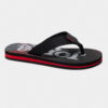 1AD9F80C54E97491E06386DE4553A32A Сланцы PLAYA SPLAYS2501
