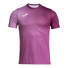 1F02EA3E603452FCE06386DE45531481 Футболка PRO TEAM 103690.535