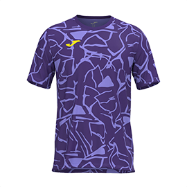 1F03B16248A15FDCE06386DE455379E9 Футболка PRO TEAM 103835.550