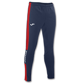 1FB8455471E64A4AE06386DE4553B1ED Брюки CHAMPION IV 100761.306