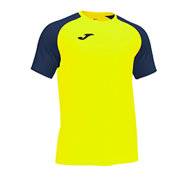 1FC84A287A985819E06386DE4553D3C3 Футболка ACADEMY IV 101968.063
