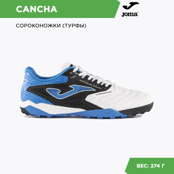 202E8FEC46D858D6E06386DE4553EB05 Турфы CANCHA CANW2402TF