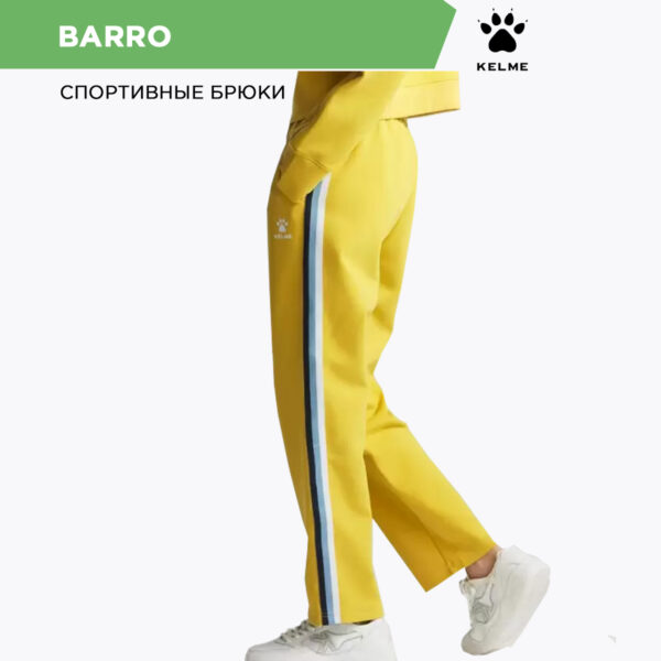 224CDAE64F594747E06386DE4553CE03 Брюки BARRO CK60352004.703