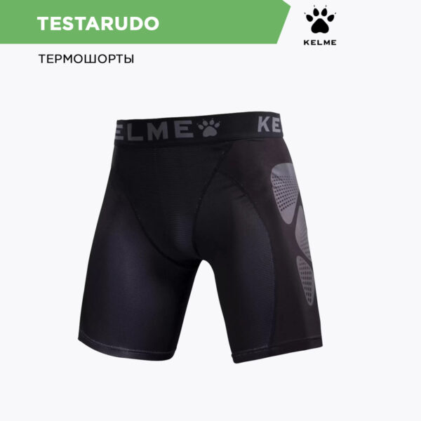 25394C15FB3145DEE06386DE455334FB Термошорты TESTARUDO 3871100.000