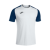 25ED9867B232116CE06386DE45536CB0 Футболка ACADEMY IV 101968.203