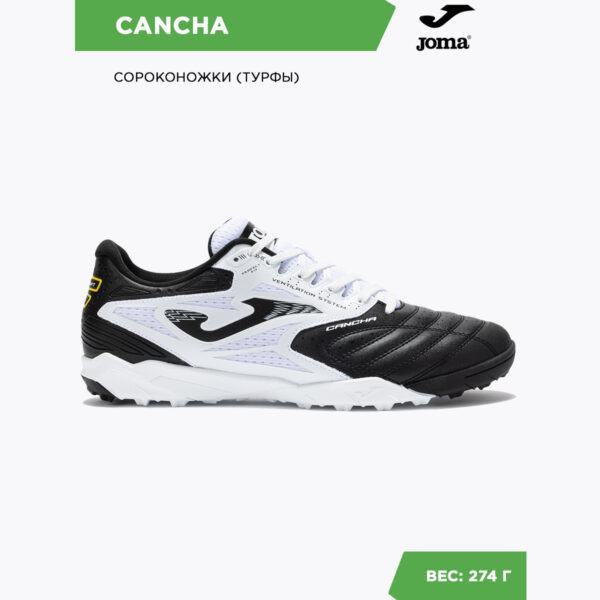 28FB404150985CB1E06386DE45530EE7 Турфы CANCHA CANS2501TF