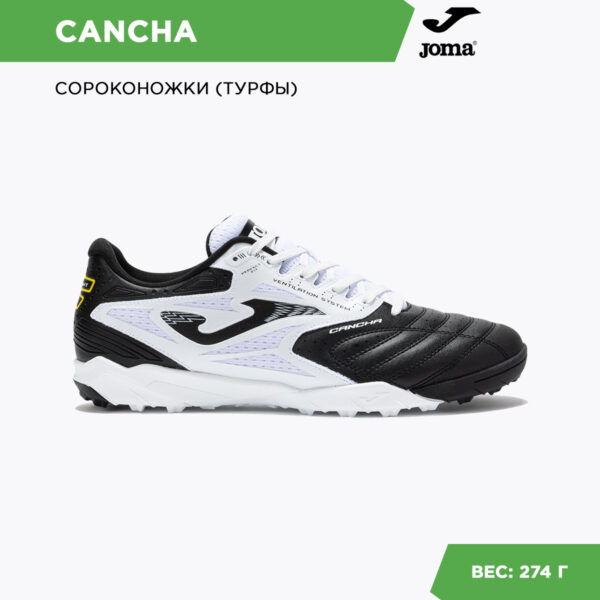 28FBBC9EB268618DE06386DE45537B39 Турфы CANCHA CANS2501TF