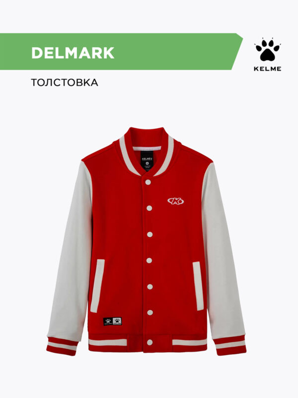 Толстовка DELMARK WT60172001.813