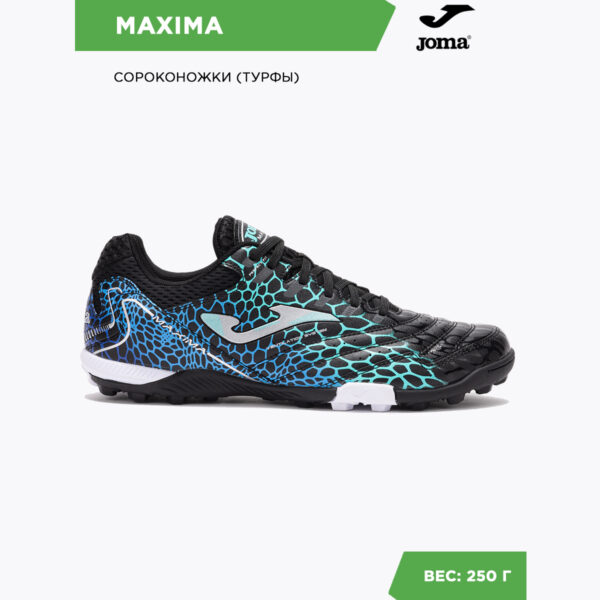 2B4812DD6DF40D59E06386DE4553E7B3 Турфы MAXIMA MAXS2531TF