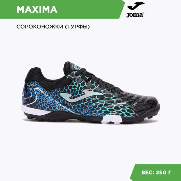 2B5B82DCEE2A0E33E06386DE455338D6 Турфы MAXIMA MAXS2531TF