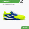2B5B8B3AE63319E4E06386DE4553B83C Турфы CANCHA CANS2511TF