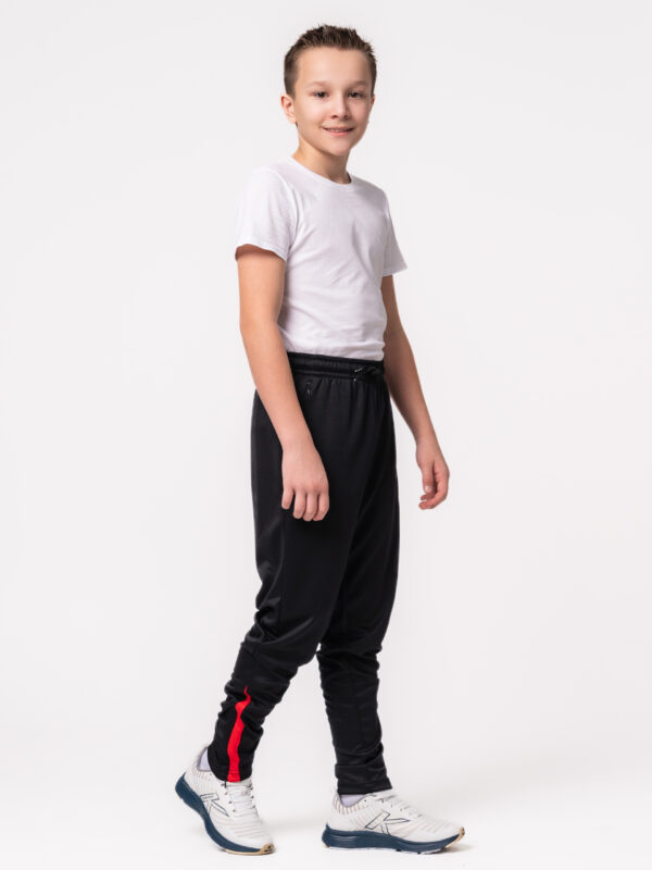 Брюки BAYAS 7451CK1120/7451CK3120.001