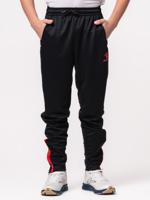 Брюки BAYAS 7451CK1120/7451CK3120.001