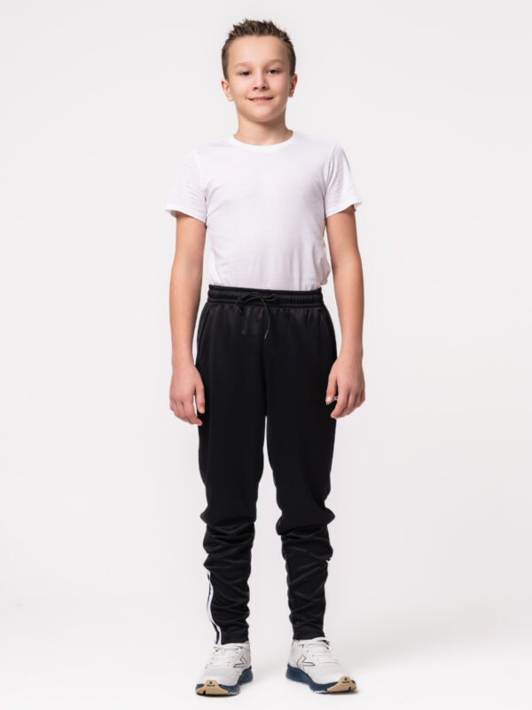 Брюки BAYAS 7451CK1120/7451CK3120.003