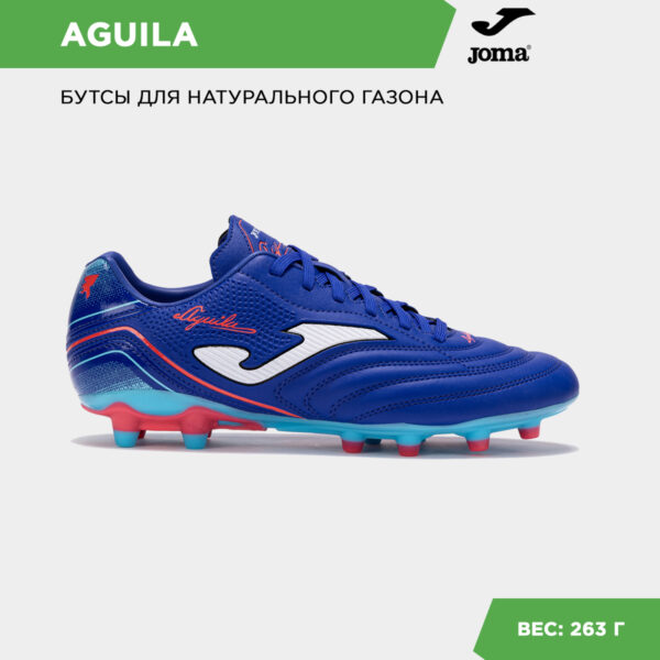 2E018EB824627FC4E06386DE45538FCD Бутсы AGUILA AGUS2504FG