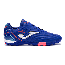2F800B6278296BA9E06386DE455316E3 Турфы AGUILA AGUS2504TF