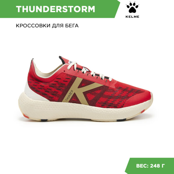 Кроссовки THUNDERSTORM 46958-523