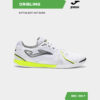 Футзальная обувь DRIBLING DRIS2502IN