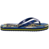 396BAC914EEA4254E06386DE4553090A Сланцы WATER SWATES2521