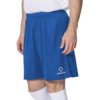 Шорты спортивные OPTIMAL FS0101M026