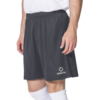 Шорты спортивные OPTIMAL FS0101M492