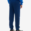 433F165CF5B3FCFAE063140AA8C06D8B Брюки спортивные на манжете OPTIMAL PN1203M073