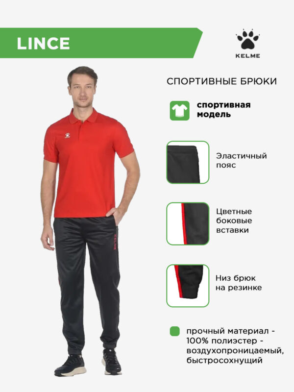4CA6EF150A82C63CE063140AA8C07375 Брюки LINCE 71291.148