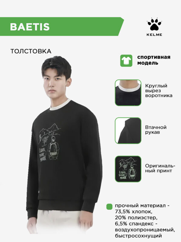 4CCE543B16E3CB68E063140AA8C0DAE0 Толстовка BAETIS 6317TT1030.5004