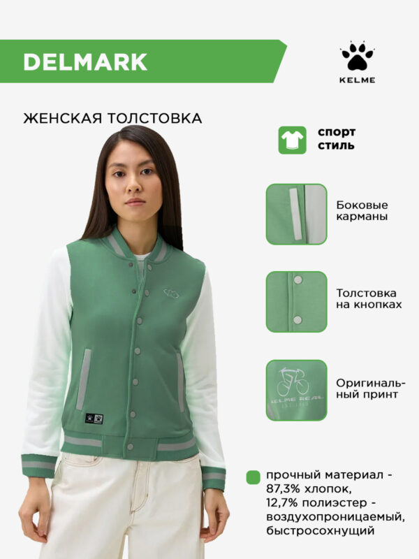 4CCED241583ED575E063140AA8C0E66A Толстовка DELMARK WT60172001.305