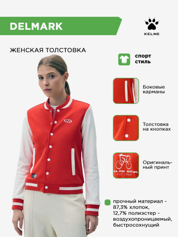 Толстовка DELMARK WT60172001.813