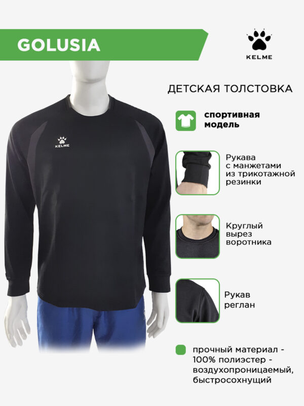 4CE556E98D1AAD2FE063140AA8C08975 Толстовка GOLUSIA 7561TT1072/7561TT3072.000