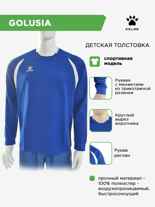 4CE559F6423AAD9FE063140AA8C0067D Толстовка GOLUSIA 7561TT1072/7561TT3072.481