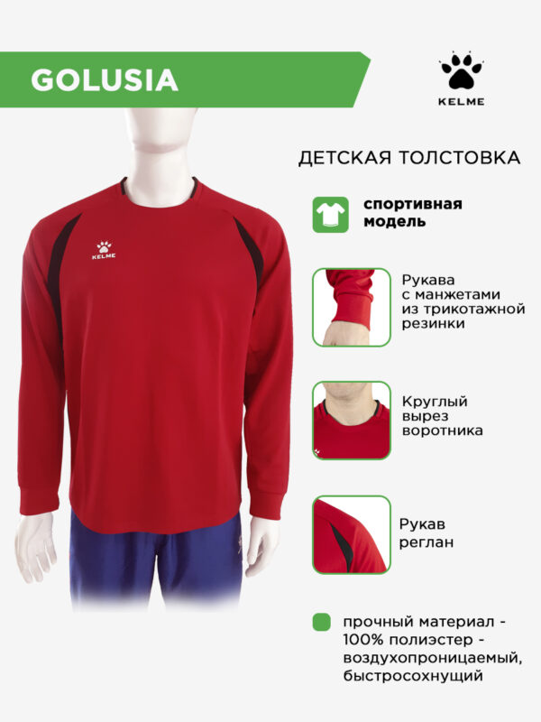 Толстовка GOLUSIA 7561TT1072/7561TT3072.600