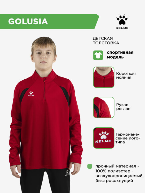 4CE5ED661720BD73E063140AA8C0B718 Толстовка GOLUSIA 7561TT1071/7561TT3071.600
