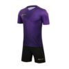Комплект HINCHA (футболка+шорты) 3981509.527