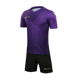 Комплект HINCHA (футболка+шорты) 3981509.527